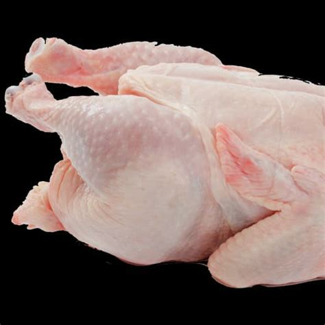 ayam segar perkg ordojek