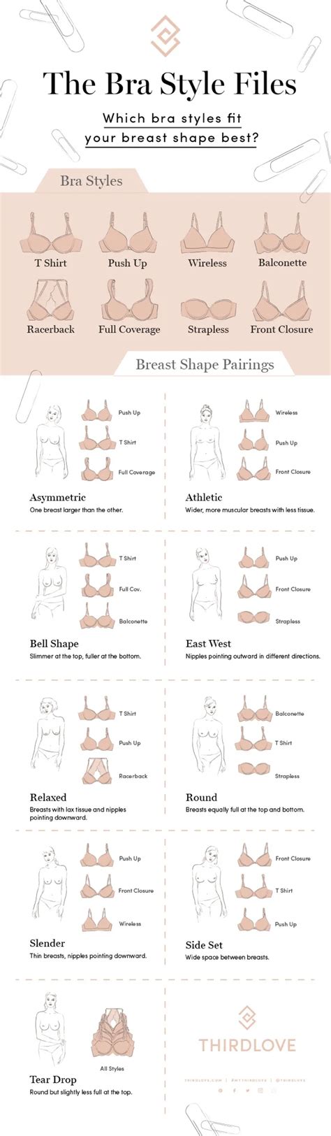 breast shape chart  pictures