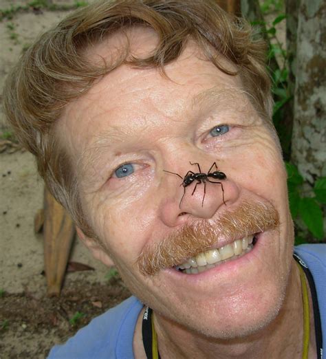 Stung By 83 Different Insects, Biologist Rates His Pain On A Scale Of 1