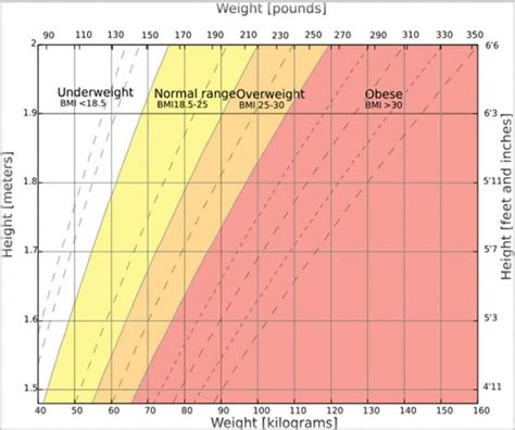 Ideal body weight chart - Xwetpics.com