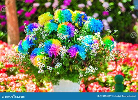 fancy flowers   garden stock image image  garden lilies