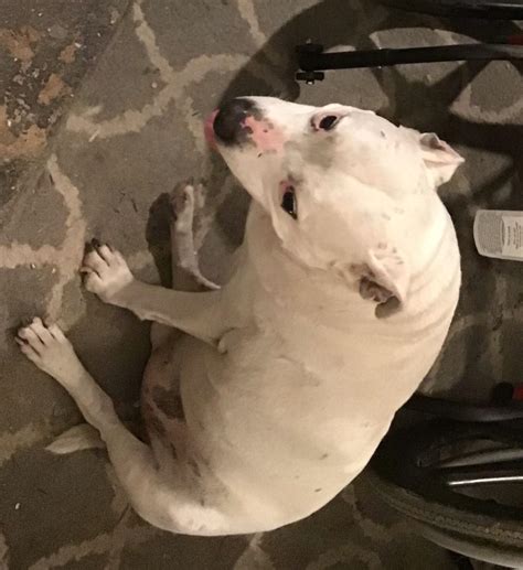 Privacy experts are concerned about the info found in white pages ri 8