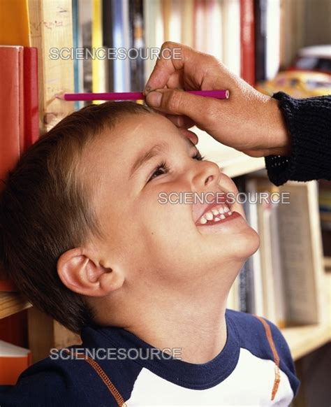 height measurement stock image science source images