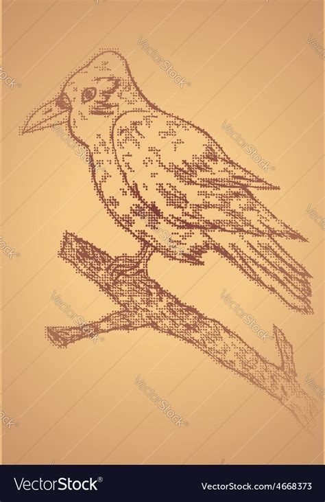 Crow sketch2 Royalty Free Vector Image - VectorStock