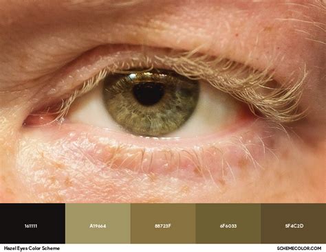 eye color chart hazel