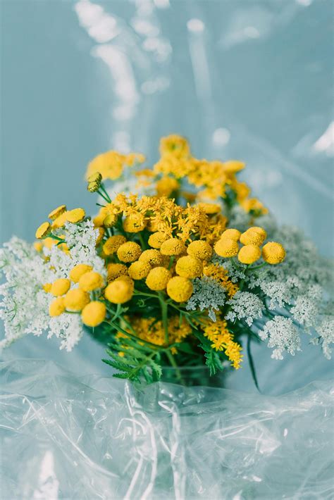 Pure+Naturism Photos, Download The BEST Free Pure+Naturism Stock Photos