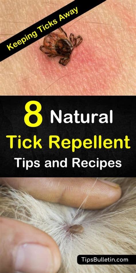 8 Easy & Effective Tick Repellent Solutions