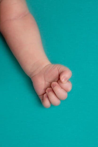 Premium Photo | Hands of a newborn baby little hands