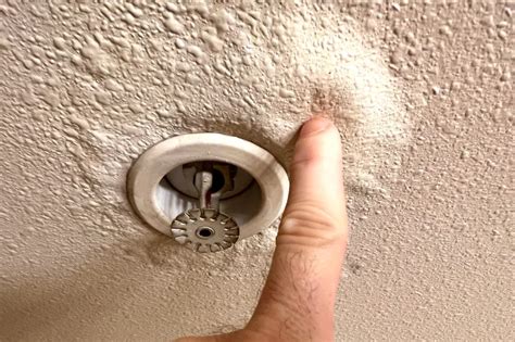 water leaking  ceiling walls  damage