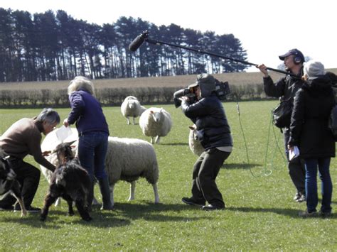 BBC Japanese Filming Today – Nuzzlets