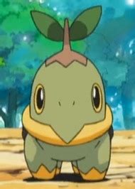 Turtwig | Anime-Planet