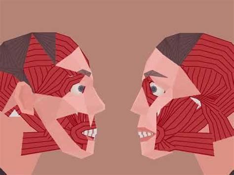 Normal Human Face Simulator - Bite The Face Off Your Opponent!