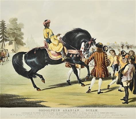 Francis Calcroft Turner | 2 Works: Godolphin Arabian Scham, Darley ...