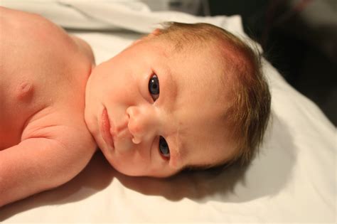 Musings of a Pregnant Lady