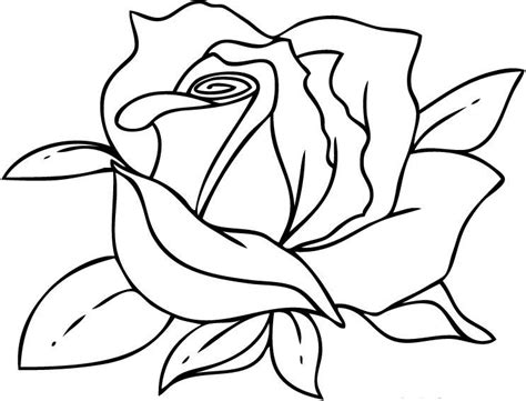 Картинка-скриншот к уроку paint.net №53487