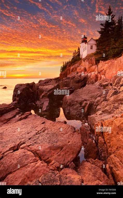 The Bass Harbor Head Lighthouse in Acadia National Park, Maine, USA
