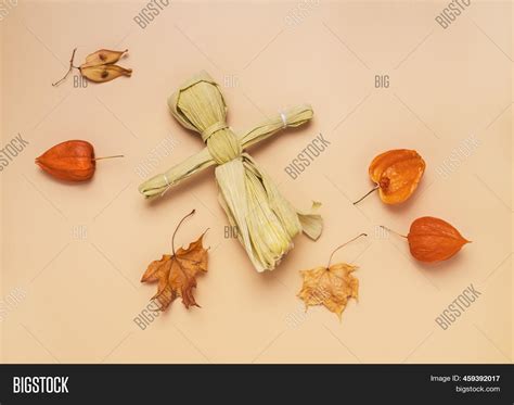 Native American Corn Image & Photo (Free Trial) | Bigstock