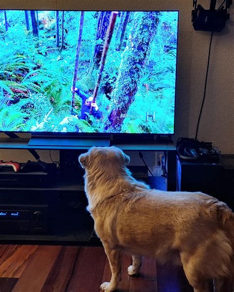 Jen "LemonKiwi" Pichette