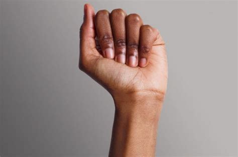 Wrist - Definition of Wrist