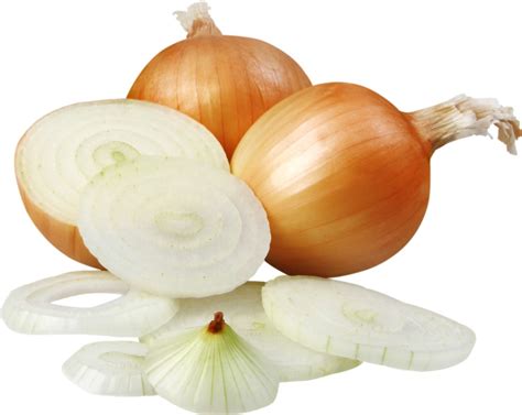What is Onion, Benefits and History