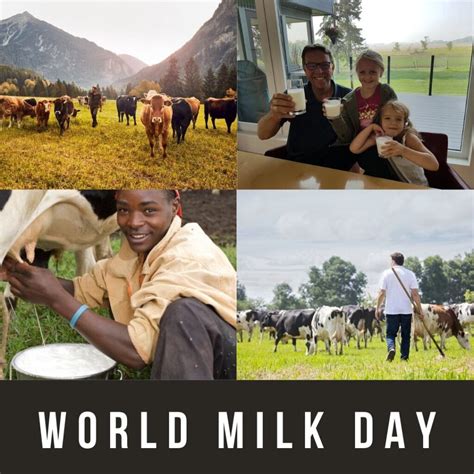 World Milk Day 2024 | Eventlas