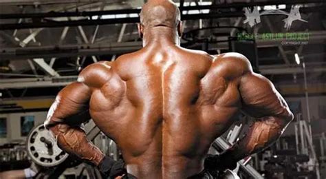 building  cobra   underused row variations  unbelievable