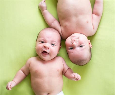 difference  fraternal  identical twins
