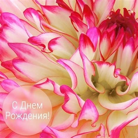 17 открыток для поздравлений с днем рождения. Красивые открытки и ...