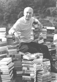 irving stone open library