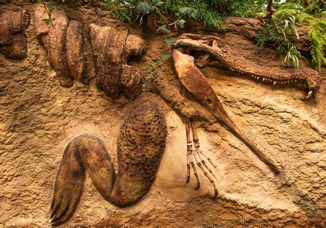 images sand rock mountain sandstone wildlife red brown