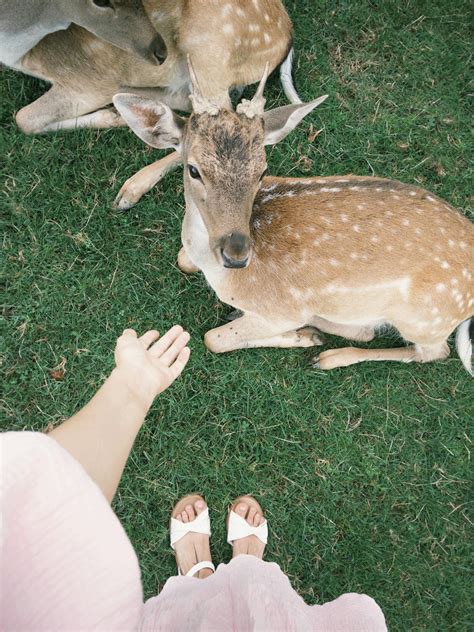 Ass+Up+Face+Down+Women Photos, Download The BEST Free Ass+Up+Face+Down