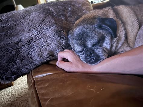 My sweet 15 year old girl has had me pinned down for the last 20