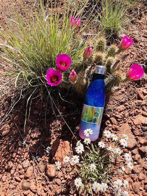 Kristen Albrecht Art added a new photo. - Kristen Albrecht Art