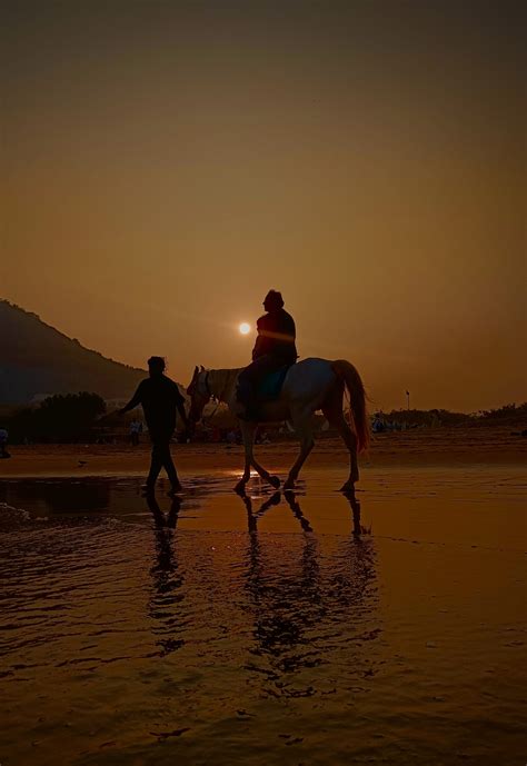 Gallery – BS Insider