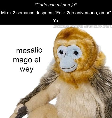 Top memes de chango en español :) Memedroid