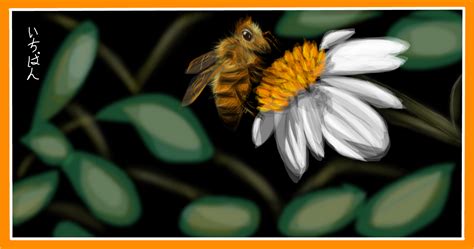 honey bee  drawings sketchport