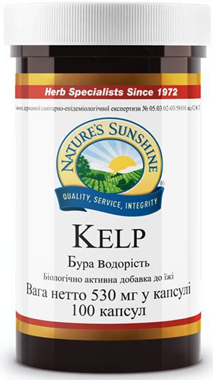 NSP. Купити Kelp Бура водорість (Келп) - Львів