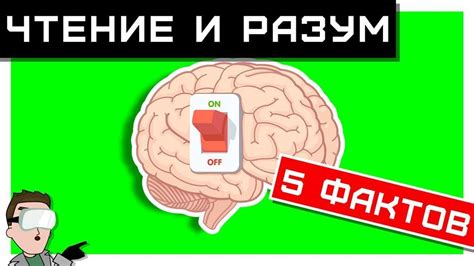 ЧТЕНИЕ и РАЗУМ: влияние литературы на мозг. Все ФАКТЫ! 🧠 - YouTube