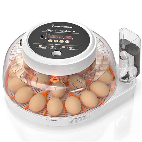 Buy EVERYGROW 22 Egg Incubator for Hatching Eggs with Humidity Display