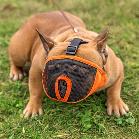 Breathable French Bulldog Muzzle – frenchie Shop