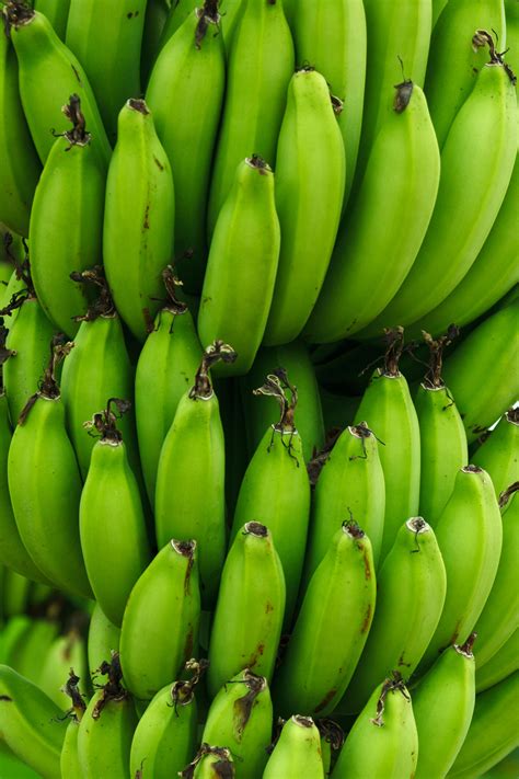 Green Bananas Background Free Stock Photo - Public Domain Pictures