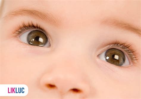 Como Saber Se O Olho Do Bebe Vai Ficar Claro - Cor dos olhos do bebê antes e depois: entenda o processo