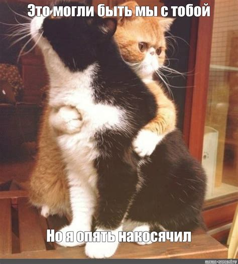Meme: "Это могли быть мы с тобой Но я опять накосячил" - All Templates ...