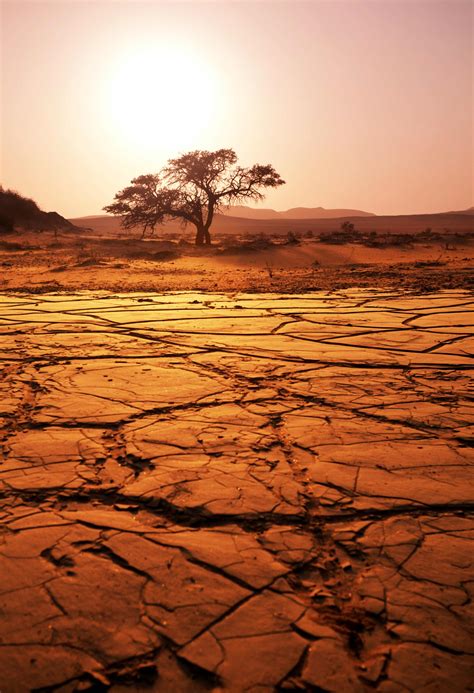 Postpartum Haemorrhage and Rising Heat, why extreme temperatures put