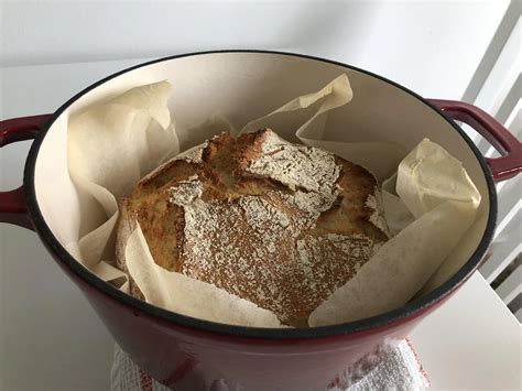 Best investment ever | Scrolller