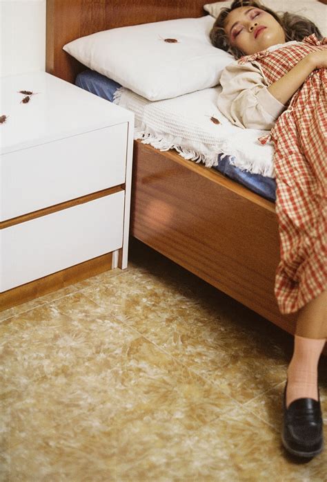 Battle with the beetles :: Behance