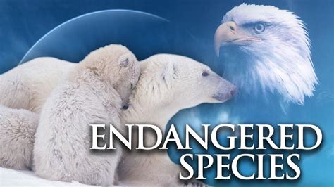 17 states sue feds over Endangered Species Act rules | WWMT