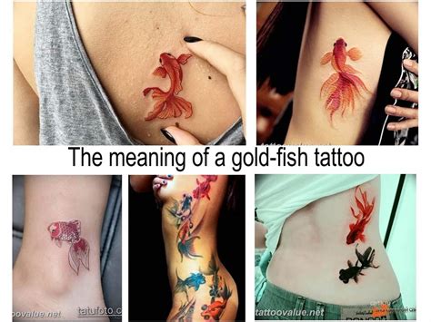 The meaning of a gold-fish tattoo - information about the meaning of ...