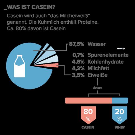 Die besten Casein Proteine 2020 | Test & Erfahrungen | Wirkung, Geschmack