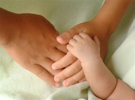 kids hands   photo  freeimages